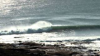 SURFING IN SOUTH AUSTRALIA [upl. by Farrow676]