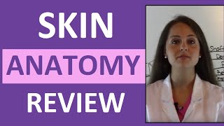 Anatomy amp Physiology Integumentary Skin System Overview [upl. by Zaraf]