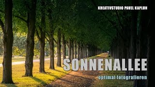 Sonnenallee optimal fotografieren [upl. by Annerol]