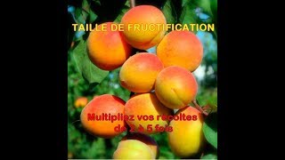 Multipliez vos récoltes 5 fois avec la taille fructification dabricotier [upl. by Angelique]