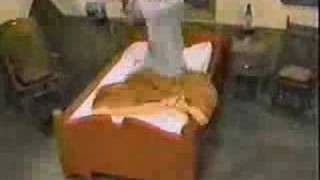 Bed Bugs Commercial [upl. by Algar]