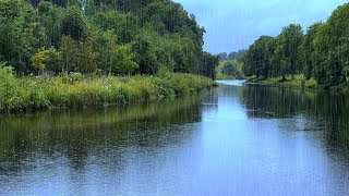 Rain Sounds on a River for Relaxation Sleep amp Focus [upl. by Kinzer]