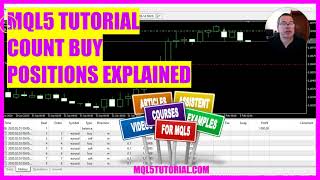 MQL5 TUTORIAL  Buy Position Count Explained in 5 min [upl. by Boris]