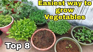 Easiest way to grow Top 8 Vegetables at HomeGarden  Small space gardening CC [upl. by Ayerhs]