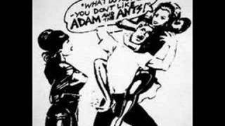 Adam And The Ants  Bathroom Function  Demo [upl. by Simons]