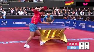 Zhang Jike vs Wang Hao  2011 World Championships – Rotterdam Netherlands  Men’s Singles Final [upl. by Eeznyl]