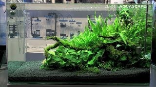 Aquarium Ideas from InterZoo 2012  Blau Aquaristic pt 15 [upl. by Ydnelg]