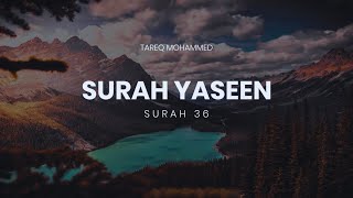 Surah Yaseen Yasin  سورة يس Quran recitation  surahyaseen  Soul Touching Recitation Epi 40 [upl. by Moina]