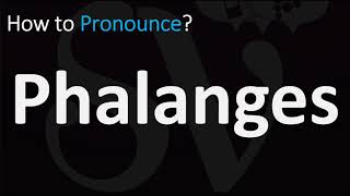 How to Pronounce Phalanges CORRECTLY [upl. by Einafpets617]