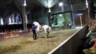 Exhibición doma Caballos de Jerez [upl. by Ap]