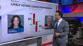 How a presidential election poll works [upl. by Gerrilee]