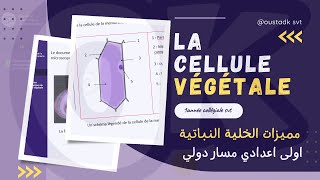 1AC SVT  Observation dune cellule végétale [upl. by Marcille]