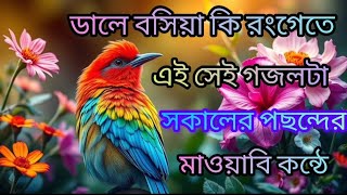 ডালে বসিয়া কি রংগেতে এই সেই গজলটা সকলের পছন্দের মায়াবি কন্ঠে bangla gozol ♥️♥️♥️♥️♥️♥️ [upl. by Ilahsiav]