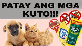 MABISANG PANGTANGGAL NG KUTO SA PUSA ASO AT RABBITMABISA DING PANG PATAY NG MGA INSEKTO SA HALAMAN [upl. by Nnad]