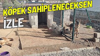 Köpek Sahipleneceğim Diyenler Mutlaka İzlesin  Merdoz [upl. by Judsen]