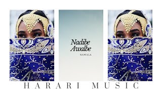 Nawala  Halo Halo│Ethiopian Harari Music Audio [upl. by Colver]