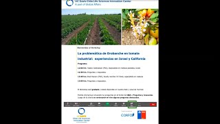 Webinar La problemática de Orobanche en tomate industrial experiencias de Israel y California [upl. by Hibben]