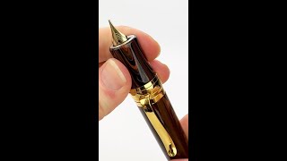 Stipulas DaVinci Inspired Capless Fountain Pen Now in 5 New Ebonite Colors [upl. by Esimorp]