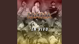 Huayku Pata En Vivo [upl. by Nunnery876]