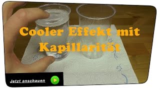 Der Kapillar Effekt  ExperimentTutorial [upl. by Phyllys]