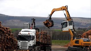 Balcas and Liebherr LH30 [upl. by Rumney]