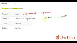 Gonads are endodermal in [upl. by Eimareg]