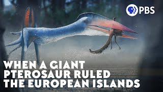 When a Giant Pterosaur Ruled the European Islands [upl. by Tnerb]