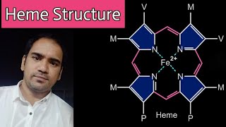 Heme  Structure  Porphyrin  types of porphyrins  bond between oxygen and iron [upl. by Albrecht988]