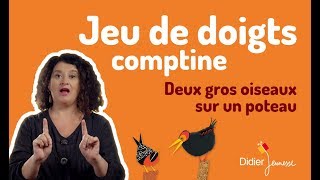 Deux gros oiseaux sur un poteau  Jeu de doigts  Comptine [upl. by Acina62]