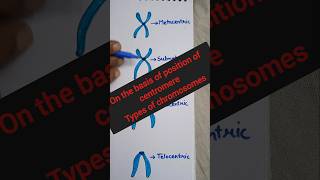 shortsTypes of chromosomes on the basis of position of centromereNucleusclass11 neet [upl. by Hgielac]