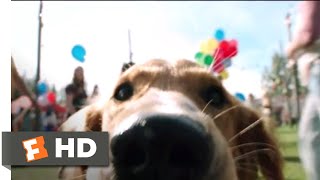 The Dog Man Movie FIRST LOOK Revealed [upl. by Nylcaj]