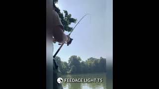 feeder fishing carp fishing carpfishing feederfishing [upl. by Ibbed]