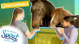 Top 5 Tips For Rescue Horse Training  THATS THE SPIRIT [upl. by Pernell107]