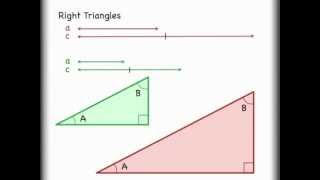 Sine Cosine Tangent Trigonometry Right Triangle Math Explained [upl. by Annairdua]