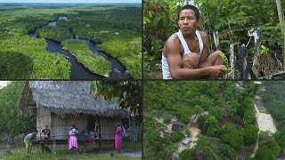 Indígenas colombianos x créditos de carbono o lado sombrio da geopolítica ambiental  AFP [upl. by Park]