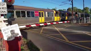 Queensland Trains at Lawnton and Narangba 10012018 [upl. by Mairhpe496]