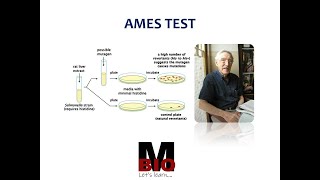 AMES TEST [upl. by Bound]