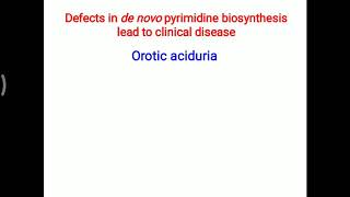 Orotic aciduria [upl. by June713]