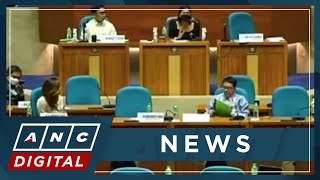 PH House Panel scrutinizes DENRs proposed 2023 budget  ANC [upl. by Aleta]