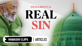 Infallibility of Prophets amp Real Sin  Article [upl. by Adnolehs135]