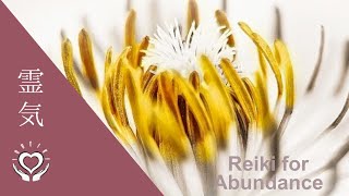 Reiki for Abundance  Energy Healing [upl. by Ecal476]