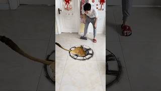 Amazing 3D Art Painting On The Floor artwork [upl. by Nirrat]