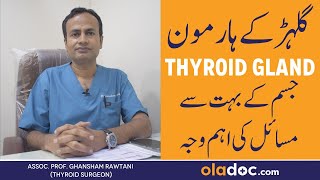 Thyroid Kya Hai  Thyroid Ke Bardhte Levels  Symptoms and Treatment  Thyroid Diseases [upl. by Mahgirb]