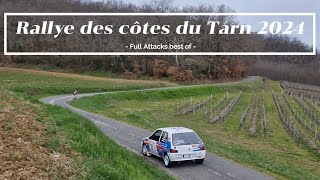 Rallye des Côtes du Tarn 2024  FULL ATTACKS [upl. by Groark812]