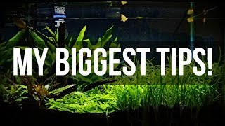 10g Planted Tank Aquarium Build  YOU CAN DO THIS TOO [upl. by Jumbala]