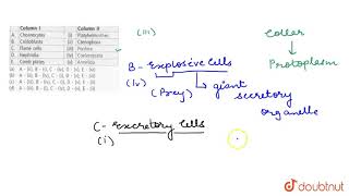 Match column I with column II and select the correct option from the codes given below Colum [upl. by Yreva]