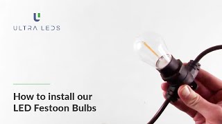 How To Install our LED Festoon Bulbs [upl. by Marguerie870]