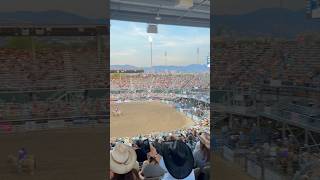 State fair  Rodeo viralshorts [upl. by Pitts]