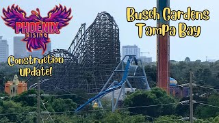 Busch Gardens Tampa Bay Phoenix Rising Roller Coaster Construction 32524 [upl. by Roti]