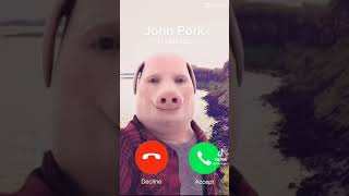 JOHN PORK IS CALLING 1 Hour [upl. by Atinev997]